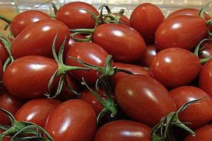 高市農業局攜手量販業者 首推碳足跡小番茄上架銷售