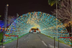 宜蘭中興文創園區燈飾浪漫繽紛 年節期間網美熱拍景點