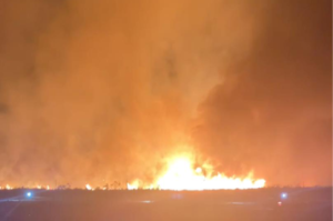 屏縣潮州台糖林地晚間突起火 一度威脅周邊建物與森林遊樂區