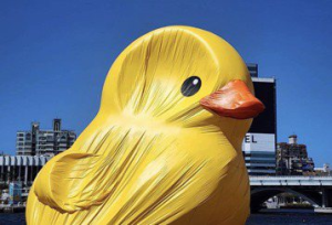 黃色小鴨被大風吹到「臉部變形」 遊客傻眼：該打氣了