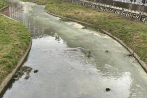 豆子埔溪變「牛奶河」 環保局追查竟是建商偷排水泥