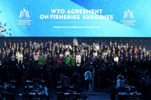 2年來首次舉行…WTO部長會議登場 盼農漁業及電子商務議題取得進展