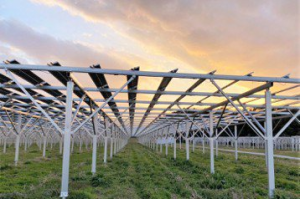 彰化發展農電共生以日本為師 架高太陽能板能繼續耕作