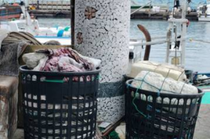 推動廢棄漁網回收獎勵 台東縣府：辦法規劃中