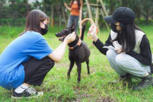 宜蘭「寵物公園」確定設在員山鄉 打造毛小孩歡樂園地