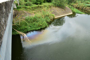 竹縣水汙染頻傳檢舉獎金7年嘸人領 議員籲提高金額