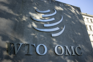 WTO下修今年貿易成長 籲慎防分裂風險
