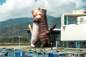 影／屏東看海美術館超萌貓狗展 擁抱巨貓、生動木雕讓人秒融化