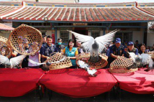 嘉義縣義竹鴿笭文化祭登場 翁章梁老家開籠場面壯觀
