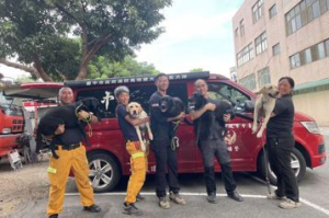 好厲害！中市消防局5隻搜救犬 通過IRO國際評測