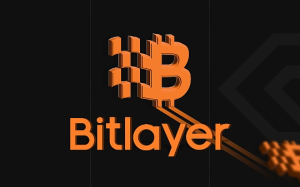 Bitlayer 生態項目盤點