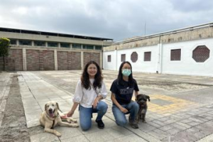 屏東監獄與屏科大工作犬訓練中心合作 開辦監獄關懷犬
