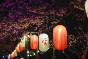 「2024花見櫻花季」榮獲法國設計大獎金獎肯定 吸引眾多遊客參觀